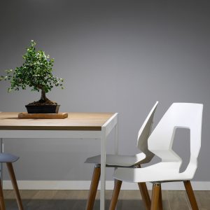 bonsai-chair